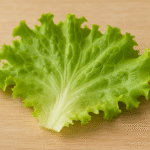 Image of a leaf of lettuce.